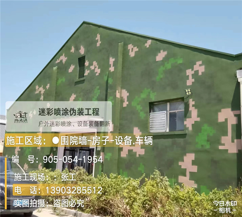 六安外墙数码迷彩漆施工报价清单（100㎡标准墙面测算）